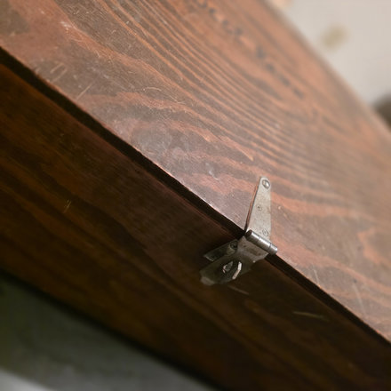 Trunk from an angle