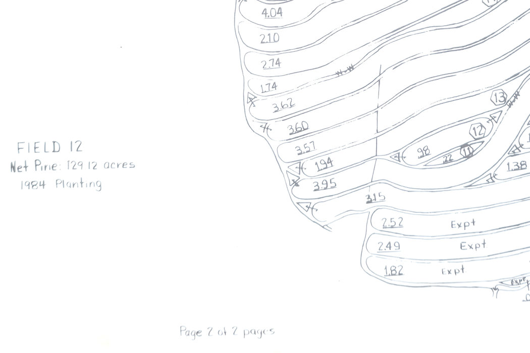 Experimental sections on Field 12 map