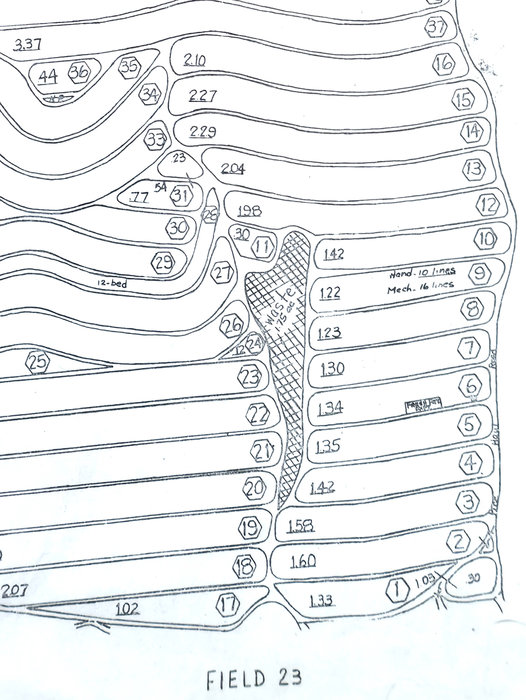 Field Map 23 detail