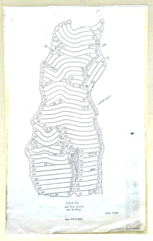 Field Map 23