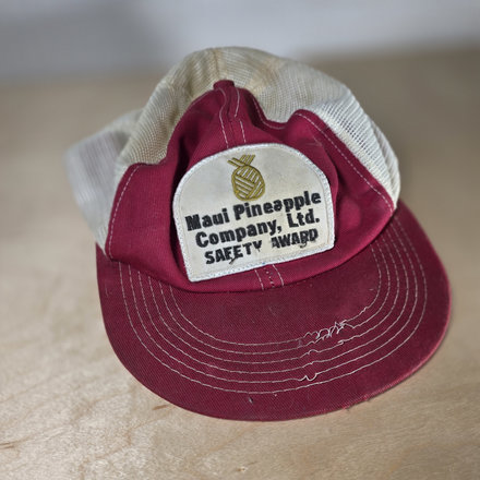 Safety Award Hat