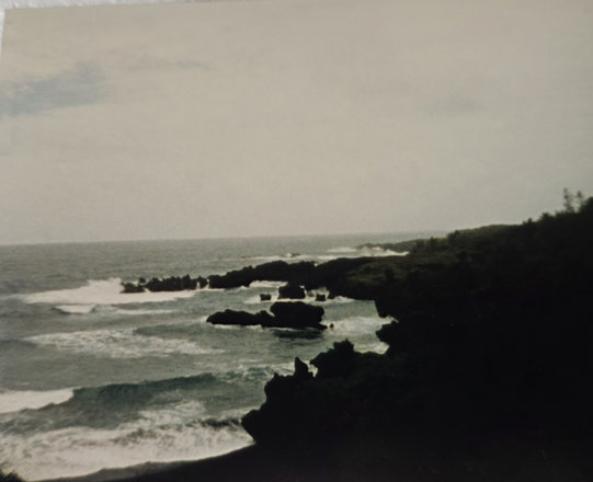 Outings, 1986