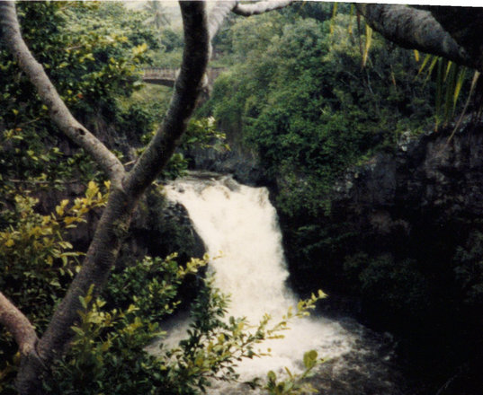Outings, 1986