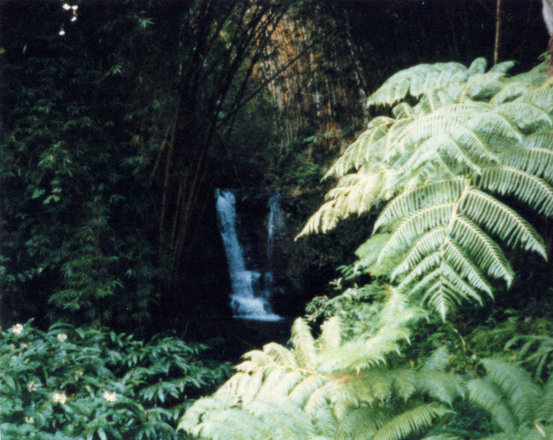Outings, 1986