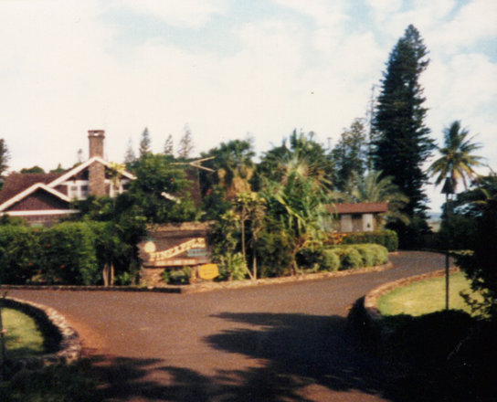Outings, 1986
