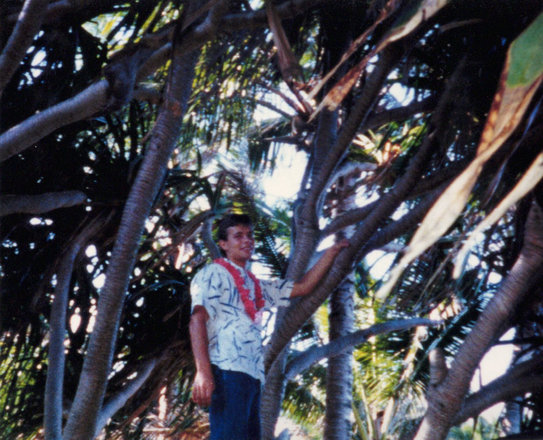 Outings, 1986