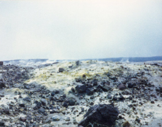 Outings, 1986