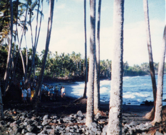 Outings, 1986