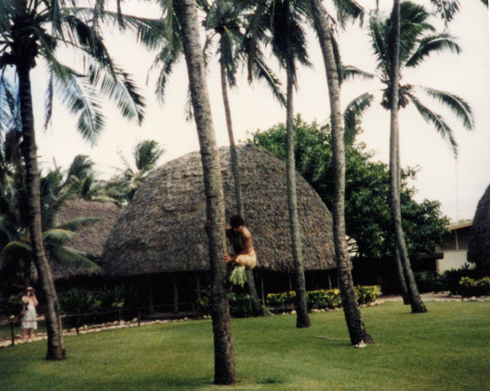 Outings, 1986