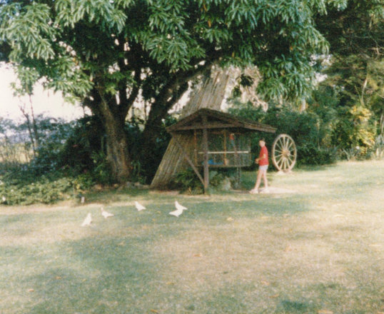 Outings, 1986
