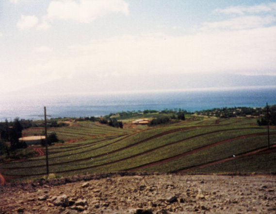 Work and camp, 1986