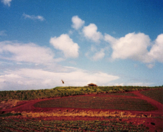 Work and camp, 1986