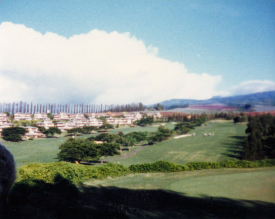 Work and camp, 1986