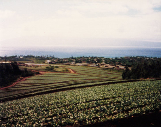 Work and camp, 1986